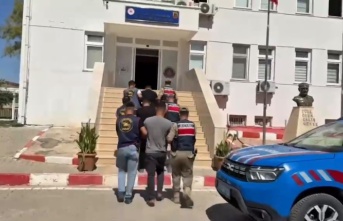 DOLANDIRICILAR MISIR TARLASINDA YAKALANDI