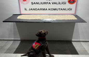 Uyuşturucu satıcılarına geçit yok