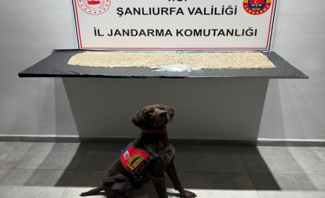 Uyuşturucu satıcılarına geçit yok