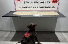 Uyuşturucu satıcılarına geçit yok