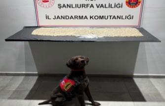 Uyuşturucu satıcılarına geçit yok