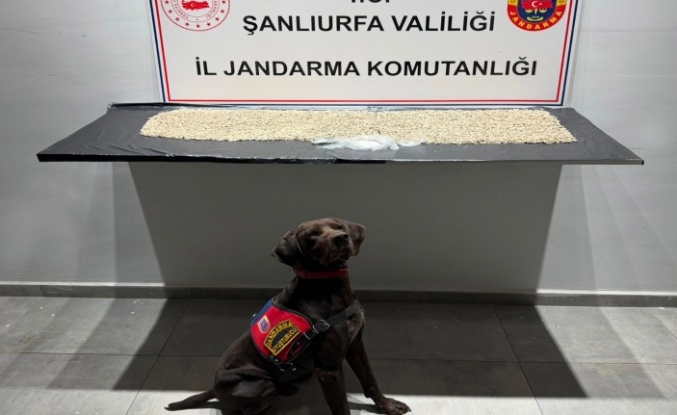 Uyuşturucu satıcılarına geçit yok
