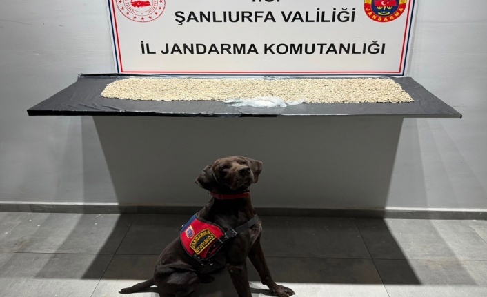 Uyuşturucu satıcılarına geçit yok